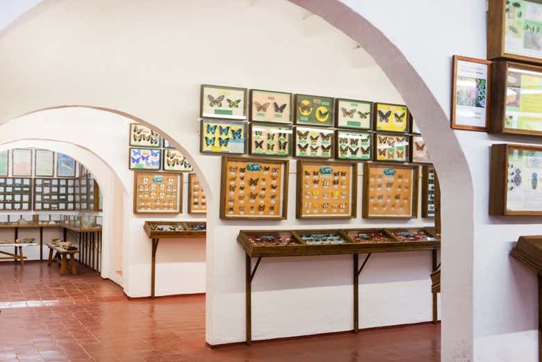 Museu de Ciências Naturais em Menorca