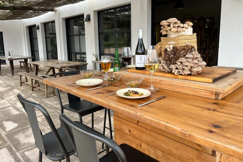 Tudo pronto para a degustação micológica